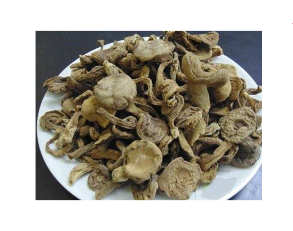 Dịch vụ vận chuyển nấm tràm từ Huế đi Malaysia