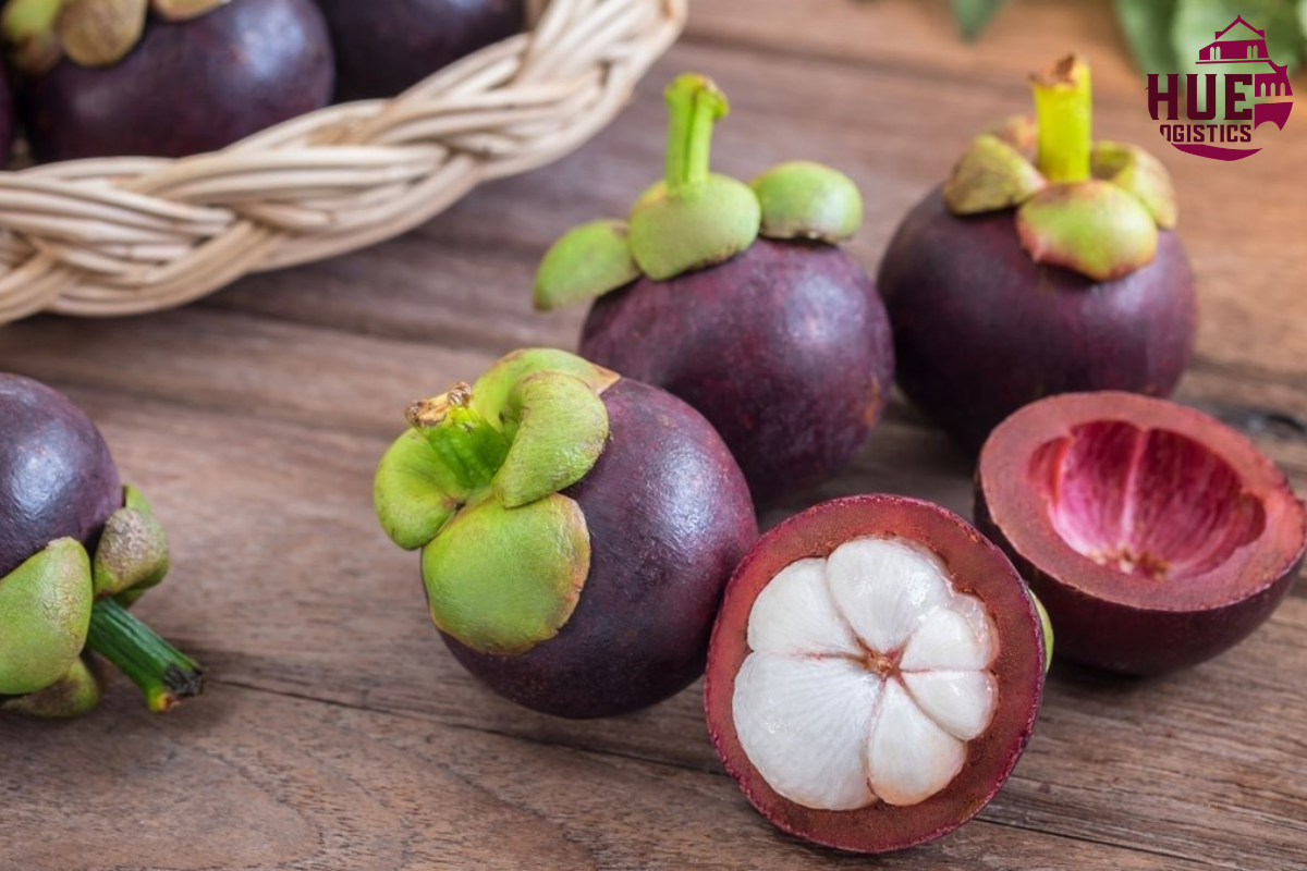 Dịch vụ gửi măng cụt sấy từ Thái Lan đi Huế giá rẻ, nhanh chóngDịch vụ gửi măng cụt sấy từ Thái Lan đi Huế giá rẻ, nhanh chóng Dịch vụ gửi măng cụt sấy từ Thái Lan đi Huế giá rẻ, nhanh chóng