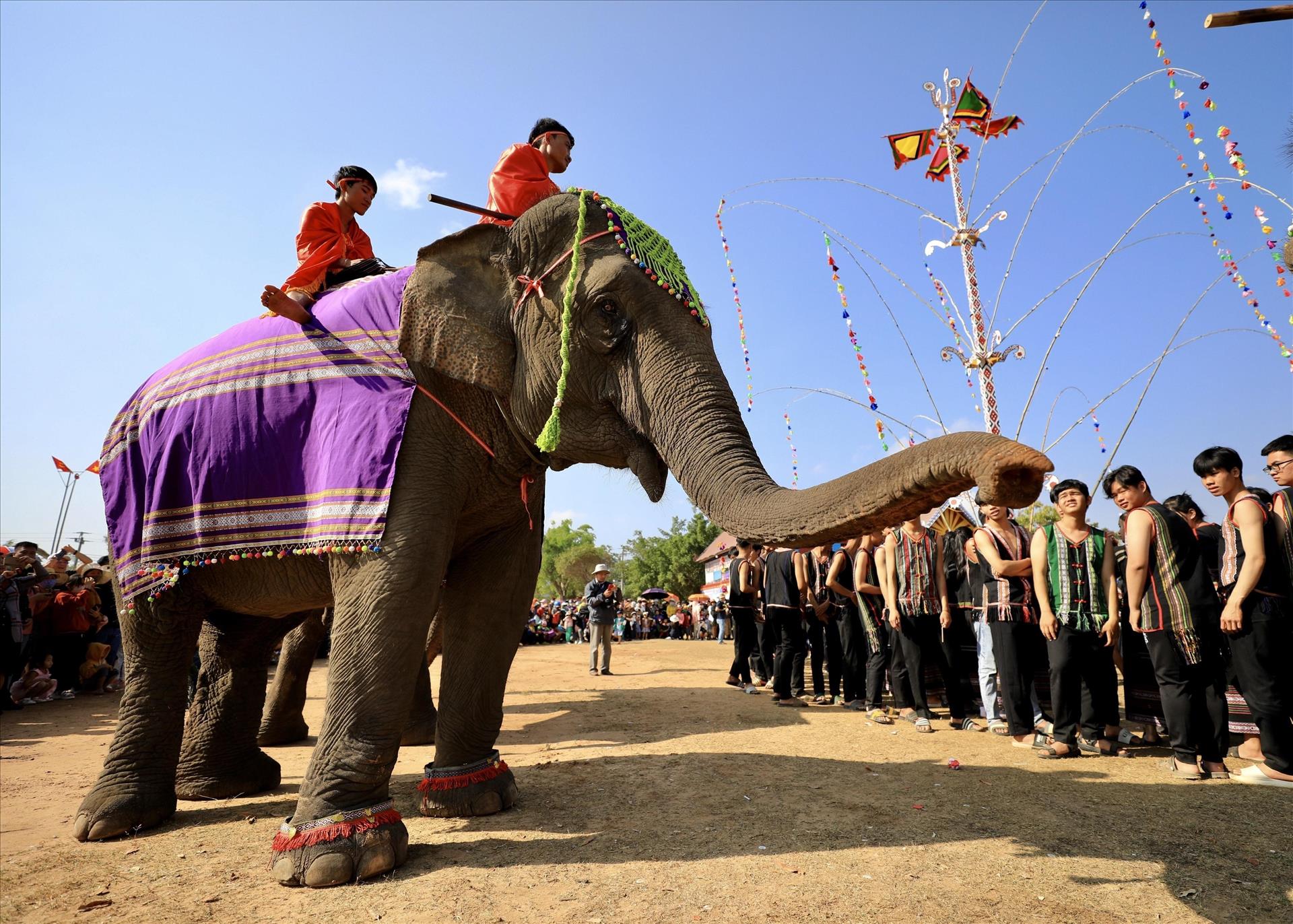 Lễ Hội Voi Surin