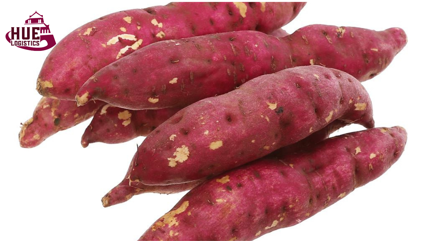 Vận chuyển khoai từ Huế đi Sài Gòn nhanh chóng – Dịch vụ uy tín tại Huế Logistics