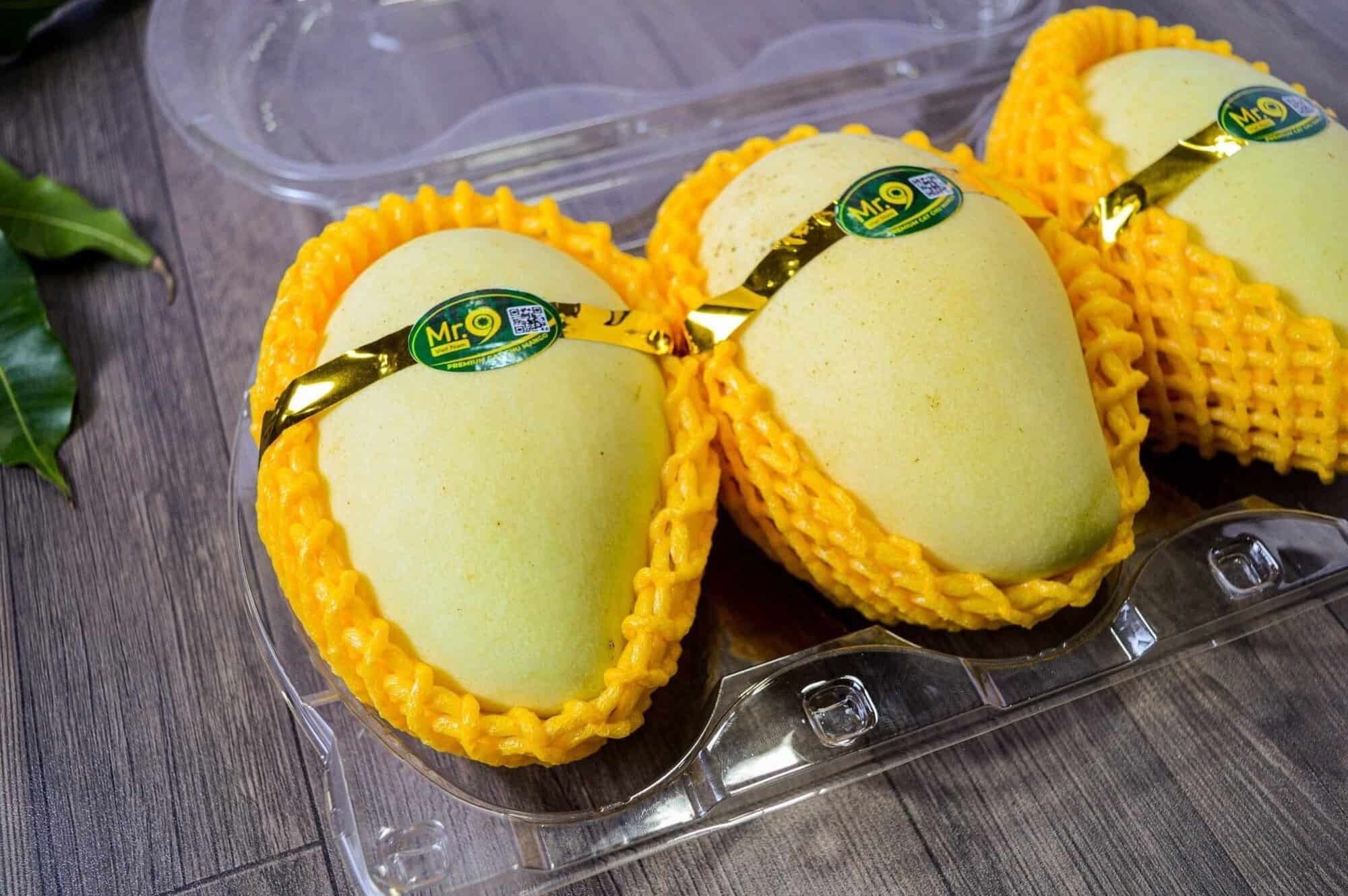 Đóng gói chuẩn chuyên gia