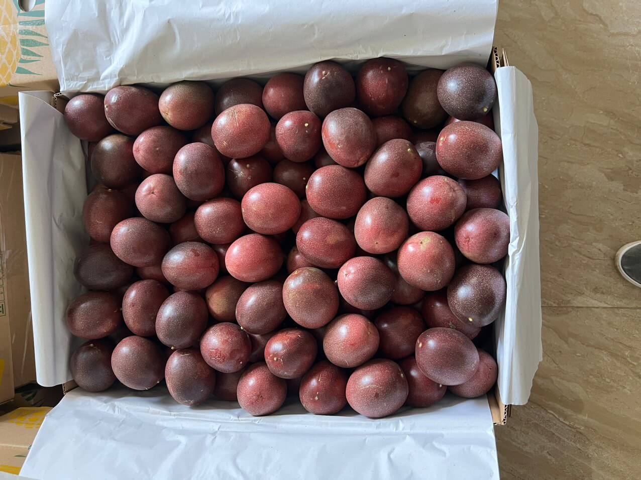 Kỹ thuật đóng gói "chống sốc & thoáng khí"