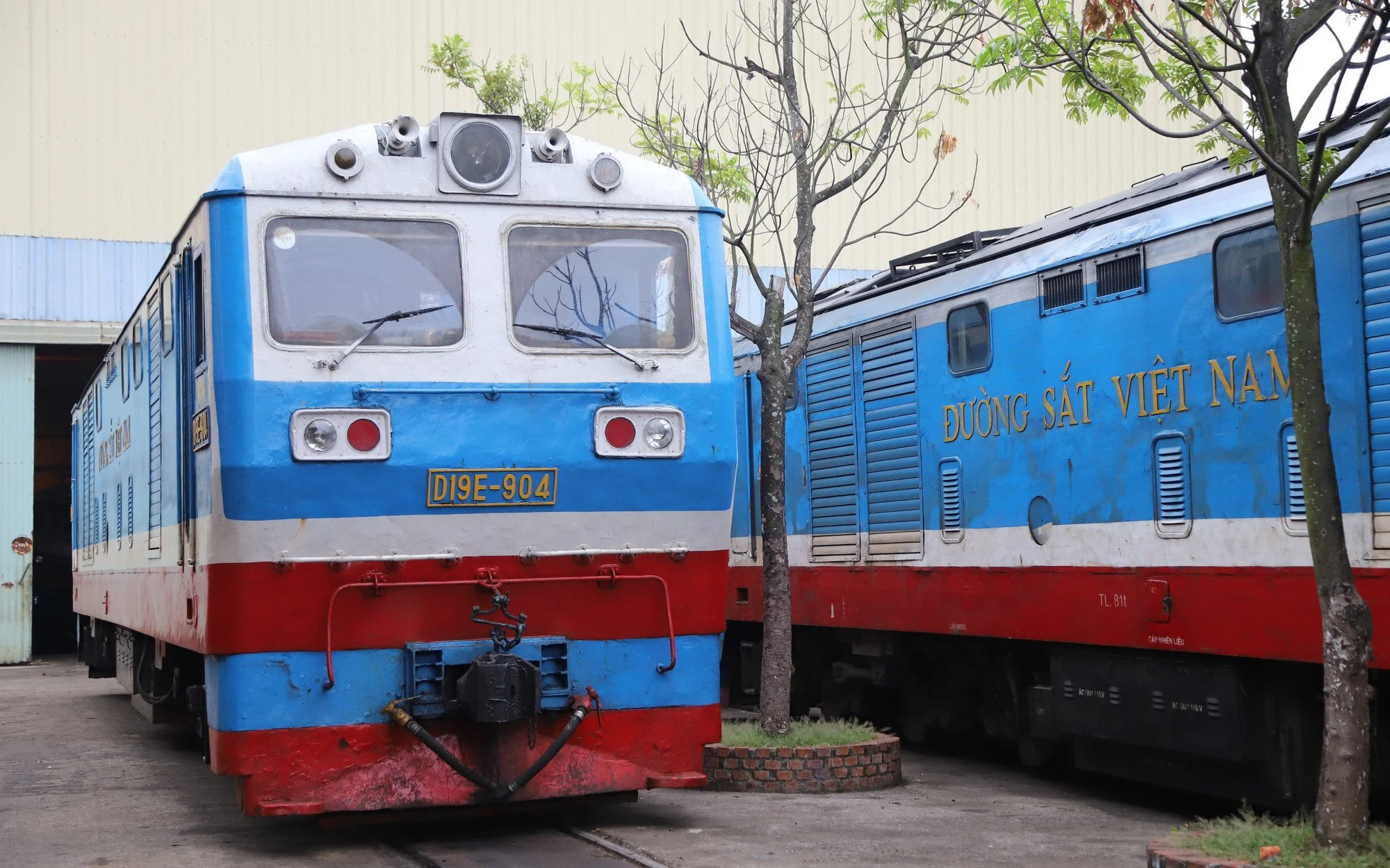 Các phương thức vận chuyển mắm cá kình