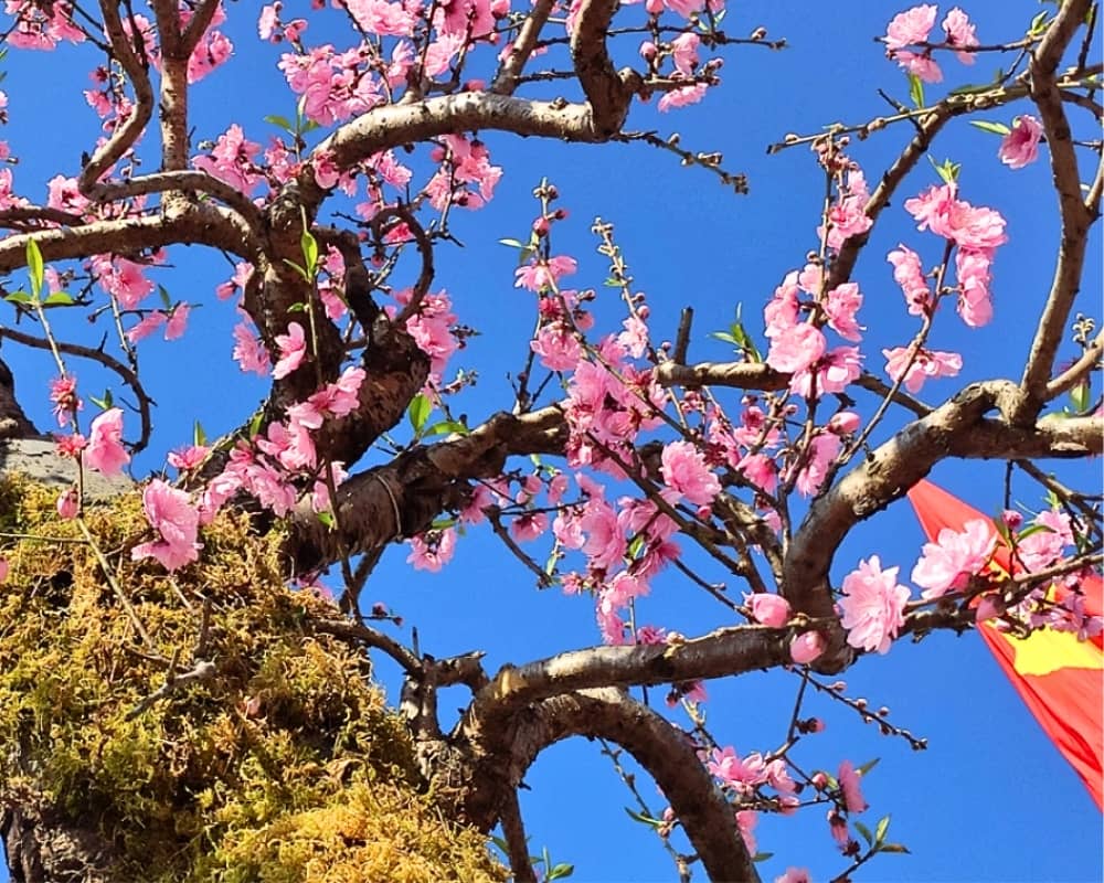 Gắn liền với tình bạn gắn bó, thủy chung