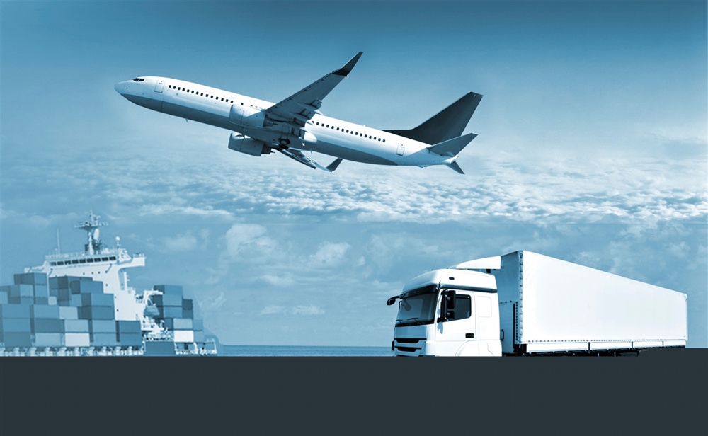 Dịch vụ lấy hạt bí xanh tận nơi tại Đà Nẵng