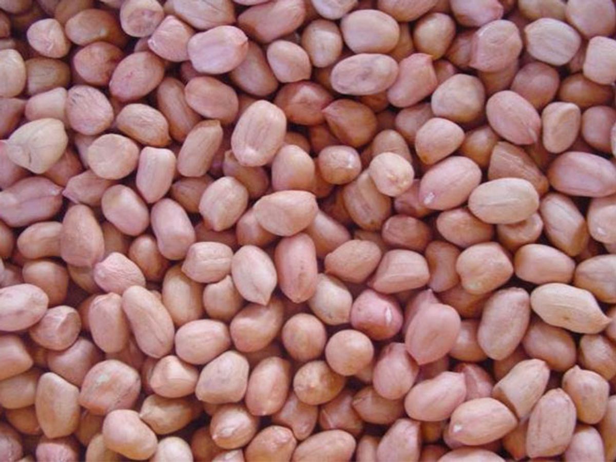 Vận Chuyển Hạt Lạc Nhân Từ Huế Đi Sài Gòn Nhanh – Giá Tốt