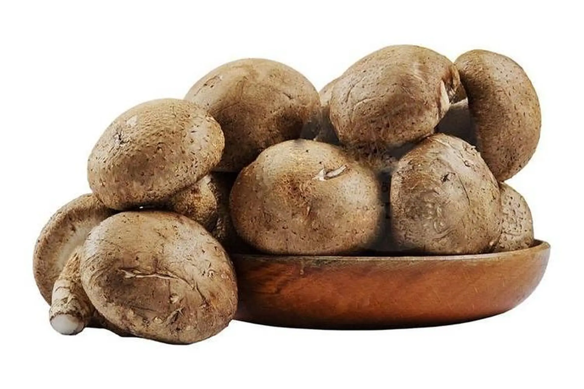 Vận Chuyển Nấm Đông Cô Từ Huế Đi Đà Nẵng Tươi Ngon