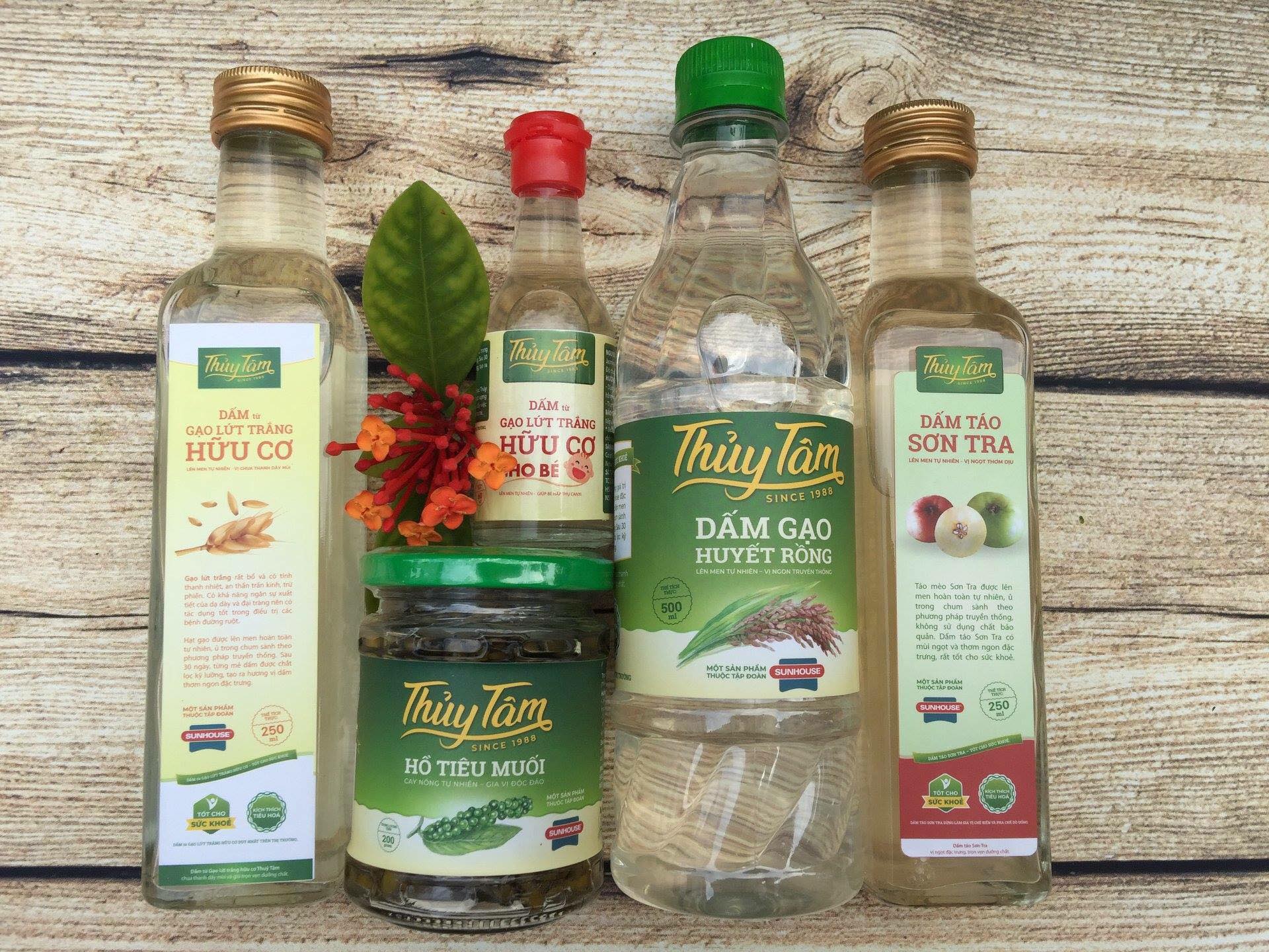 Hình Thức Vận Chuyển & Tuyến Gửi Hàng