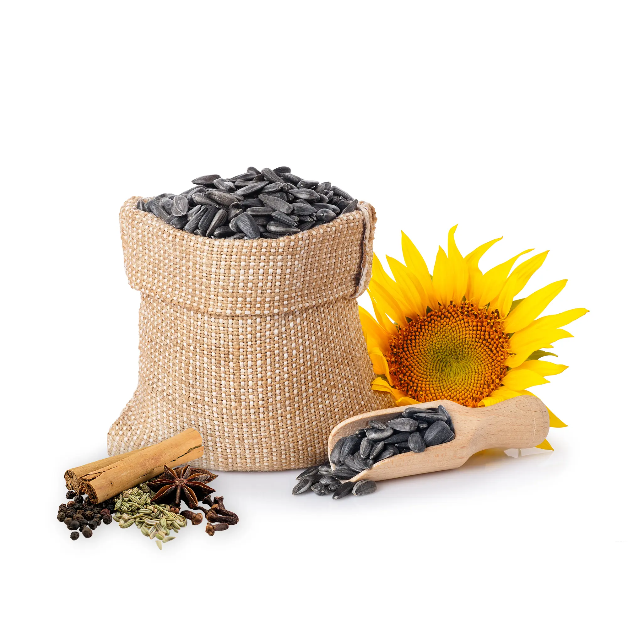 Gửi Hạt Hướng Dương Ngũ Vị Từ Huế Đi Hà Lan Nhanh Chóng Gửi Hạt Hướng Dương Ngũ Vị Từ Huế Đi Hà Lan Nhanh Chóng