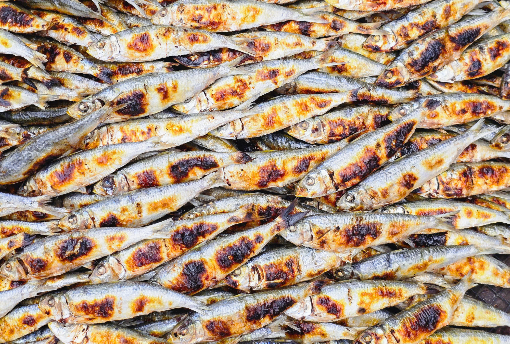 Vận Chuyển Cá Trích Xẻ Tẩm Nướng Từ Huế Đi Hải Phòng Nhanh – An Toàn Vận Chuyển Cá Trích Xẻ Tẩm Nướng Từ Huế Đi Hải Phòng Nhanh – An Toàn