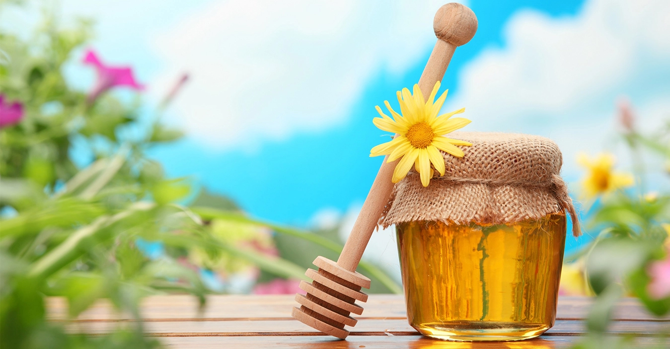 Hình thức vận chuyển Huế – Quảng Trị