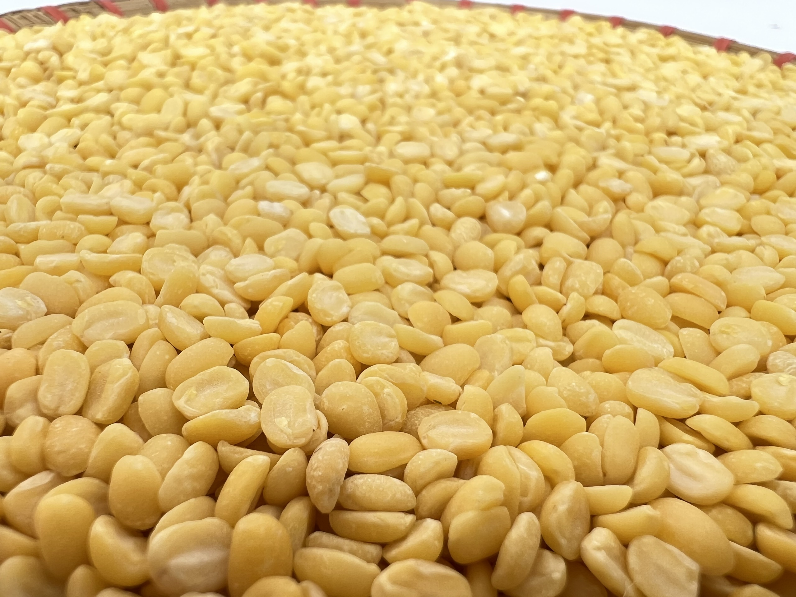 Vận chuyển đậu xanh bóc vỏ từ Quảng Bình vào Huế nhanh chóng – an toàn – đúng tiến độ Vận chuyển đậu xanh bóc vỏ từ Quảng Bình vào Huế nhanh chóng – an toàn – đúng tiến độ