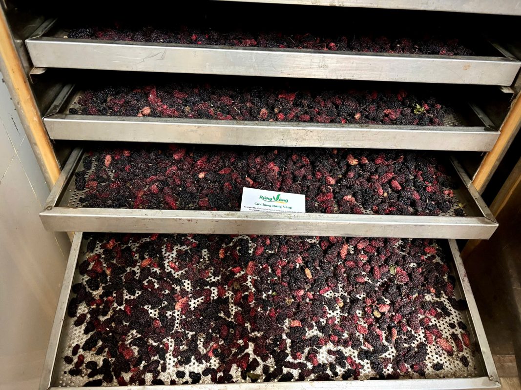 Ưu thế vượt trội của HueLogistics