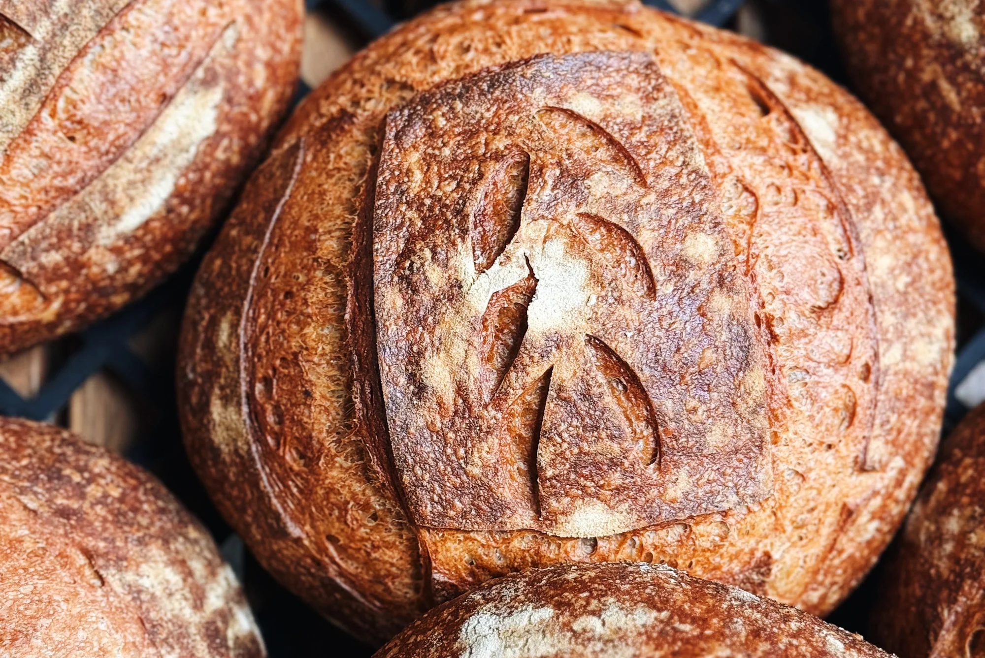 Chuyển Phát Hỏa Tốc Bánh Sourdough Từ Huế Đi Singapore An Toàn