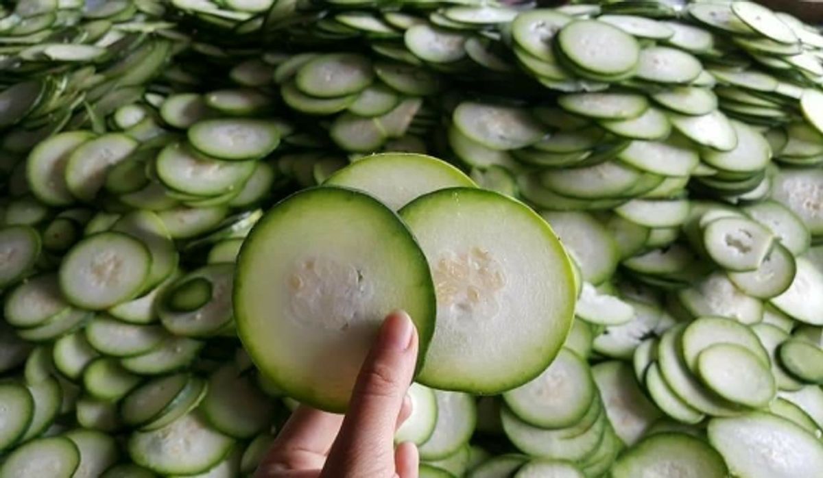 Vận chuyển bí xanh sấy từ Huế đi Trung Quốc nhanh chóng