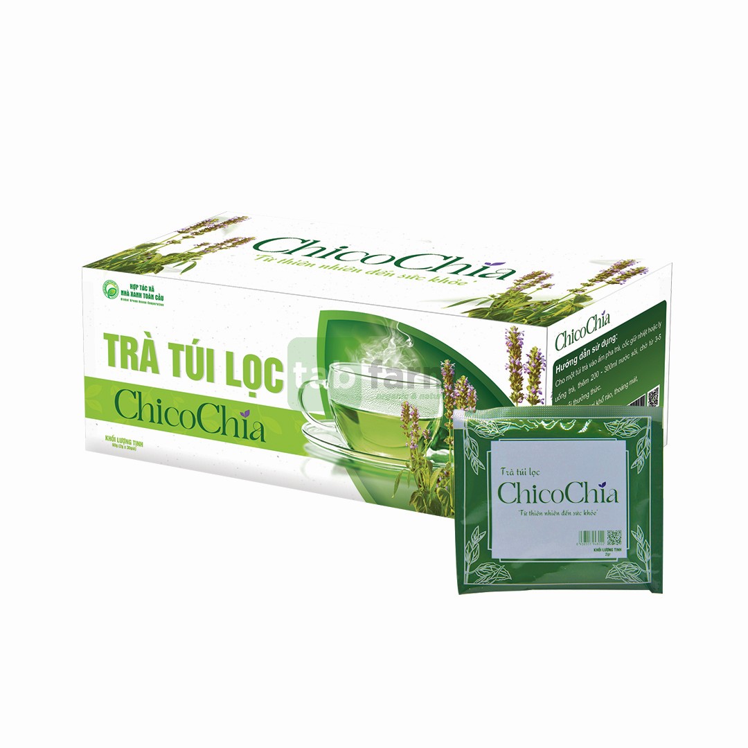 Gửi Trà Túi Lọc Từ Huế Đi Michigan Nhanh Chóng