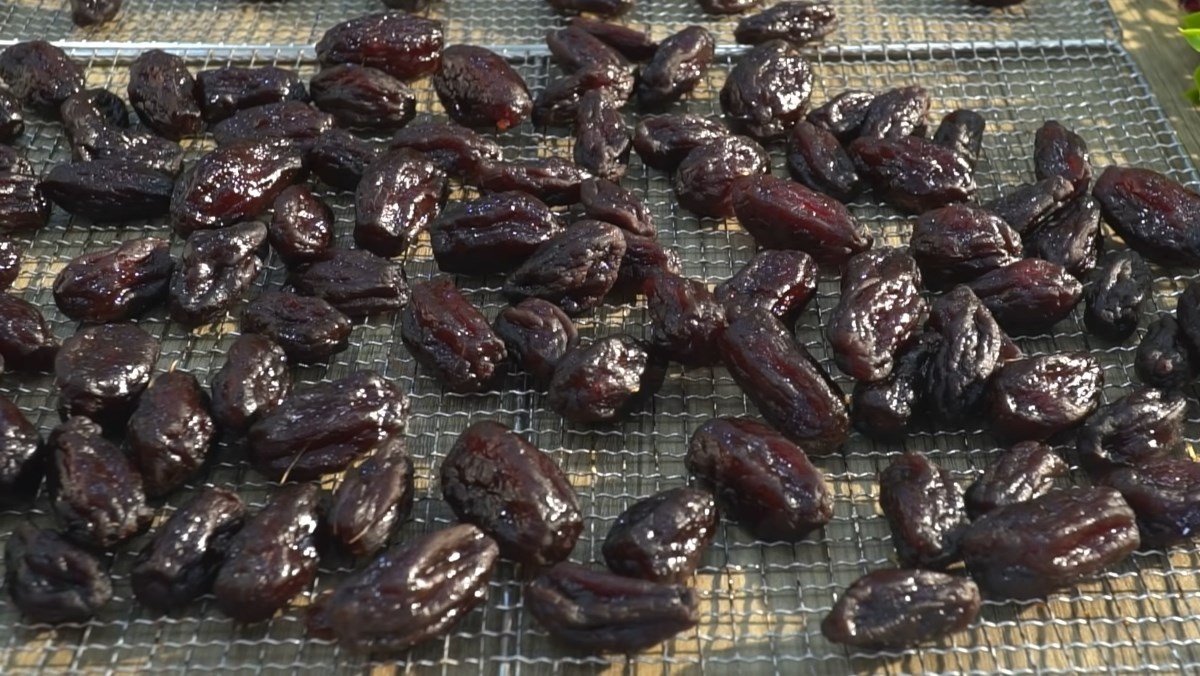 Phân loại dịch vụ vận chuyển