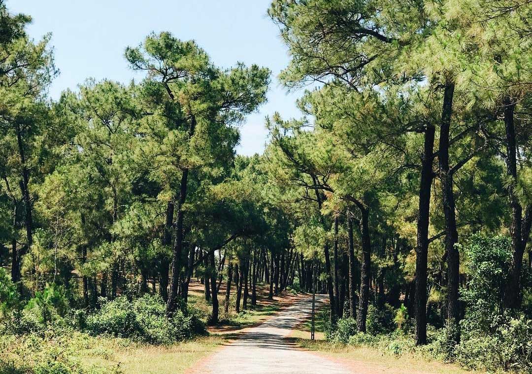 Đồi Thiên An – "Đà Lạt thu nhỏ" giữa lòng Huế