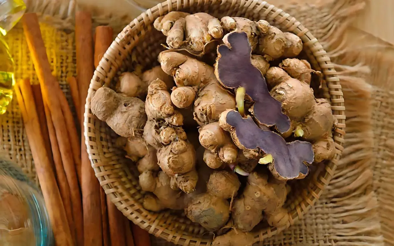 Giải pháp "thông quan xanh" của HueLogistics