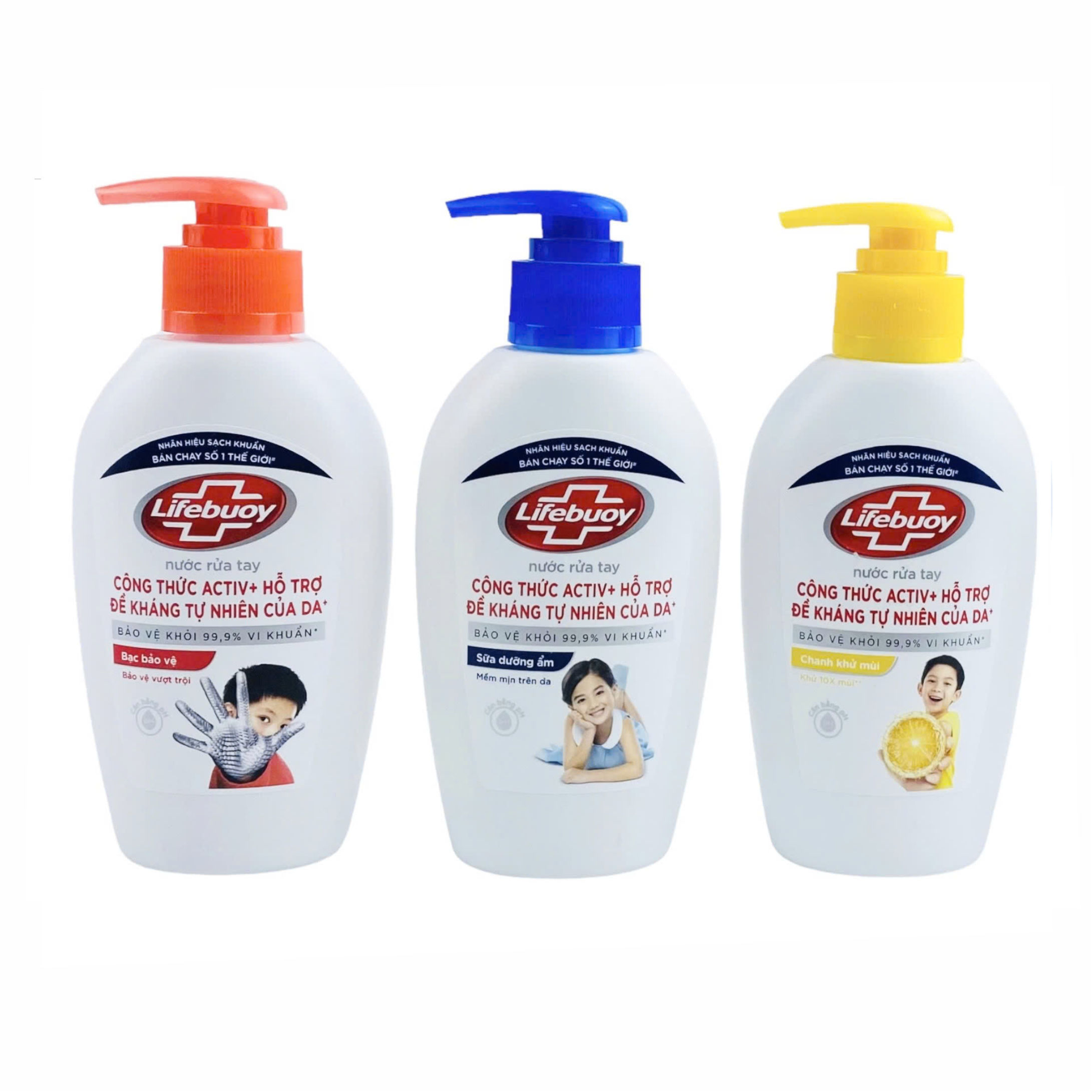 Tại sao nên chọn dịch vụ của HueLogistics?