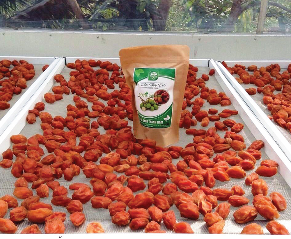 Bí kíp đóng gói cóc sấy dẻo khi đi đường xa